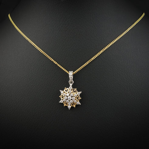 Regal Silver Necklace Set-DS 23